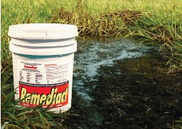 Абсорбент сухой, 5 галлонов ведро REMEDIACT CHEMTEX OILM9023